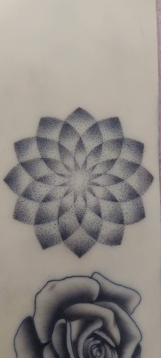 گالری تتو افسون