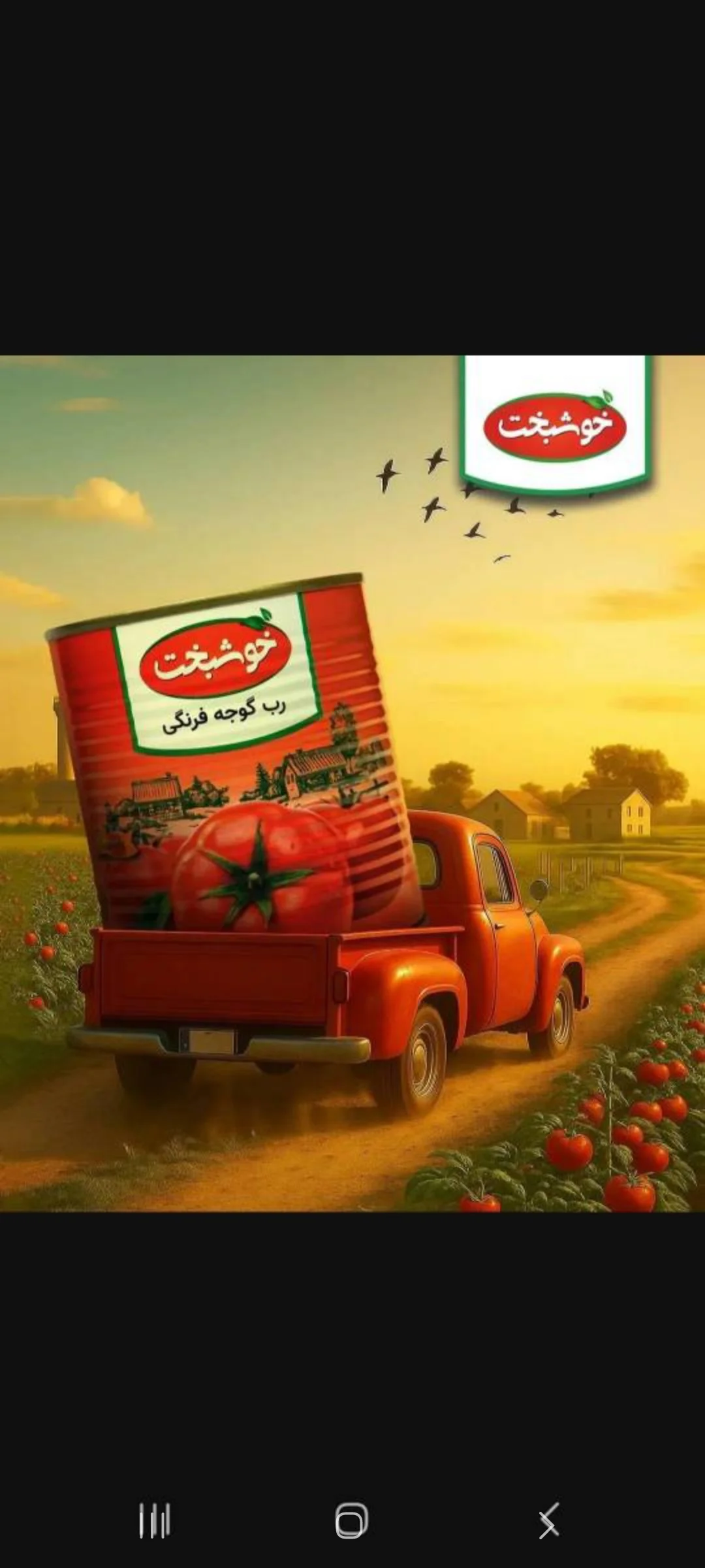 گالری شرکت دینا ستاره مرکزی (ابراهیمی)