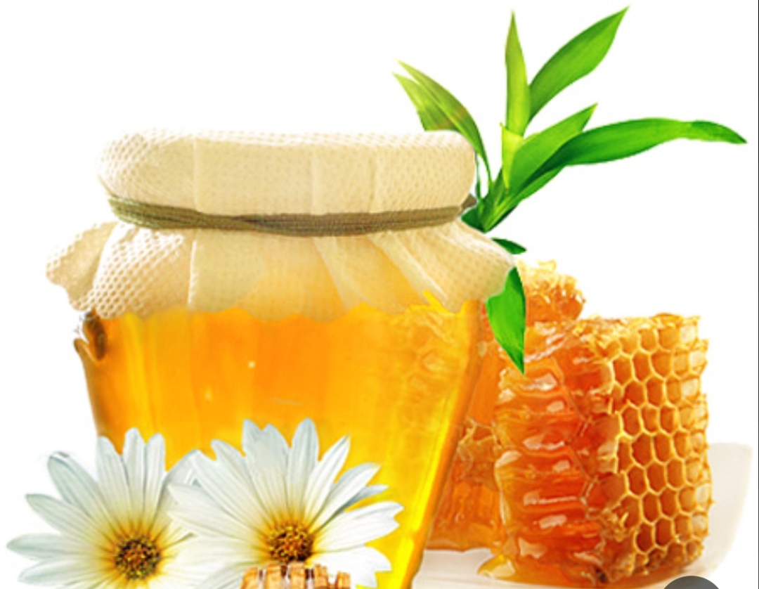 لوگو عسل طبیعی کوهستان 🐝🍯