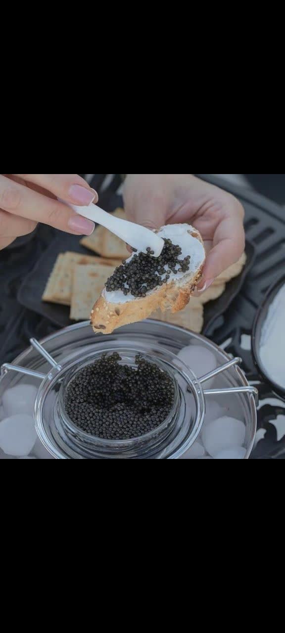 گالری خاویار شیلات