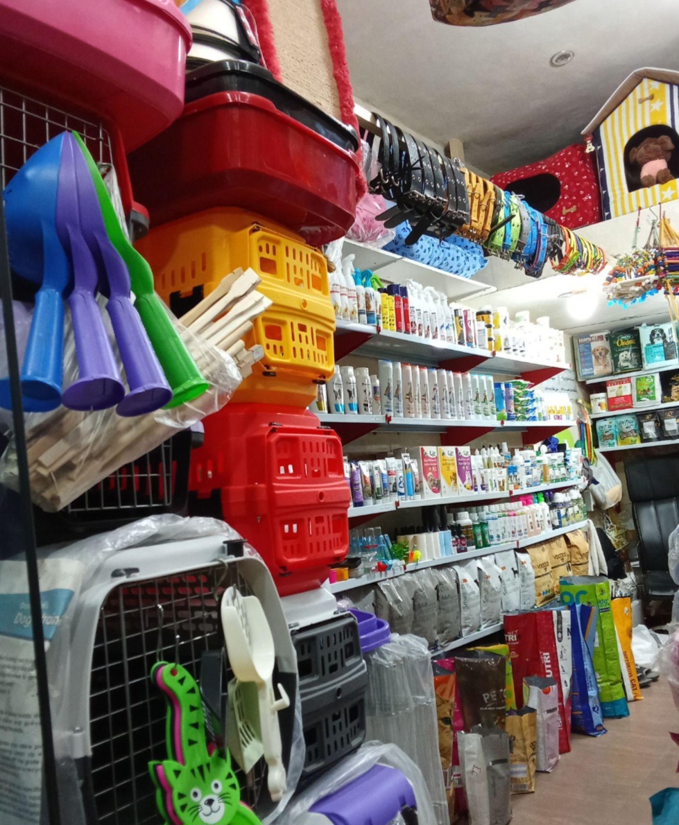 گالری کلینیک دامپزشکی و پت شاپ حامی