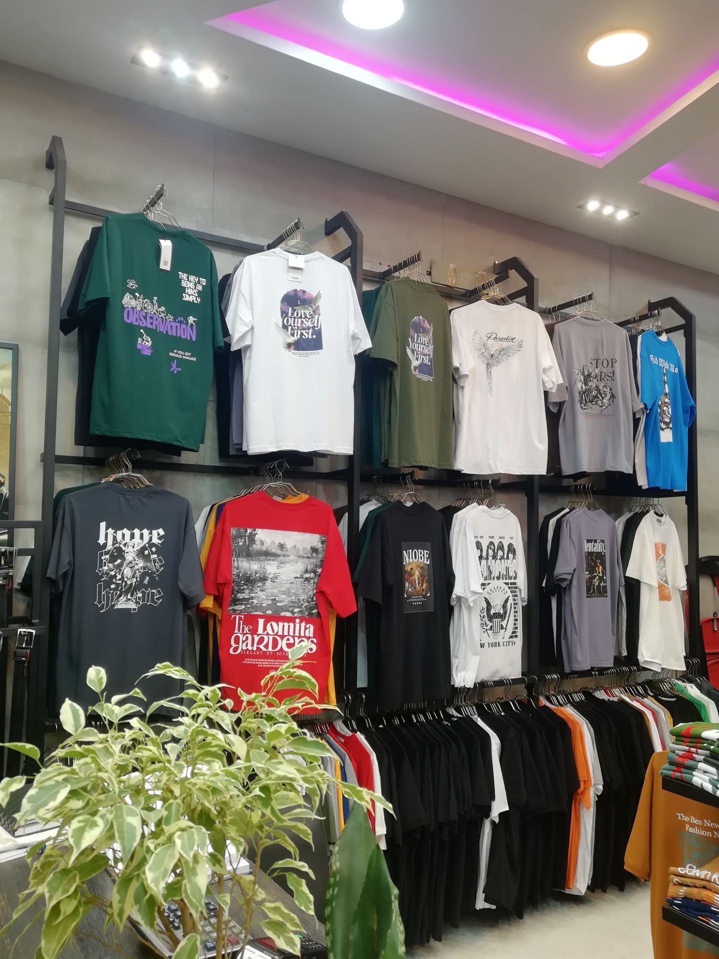 نمونه کار