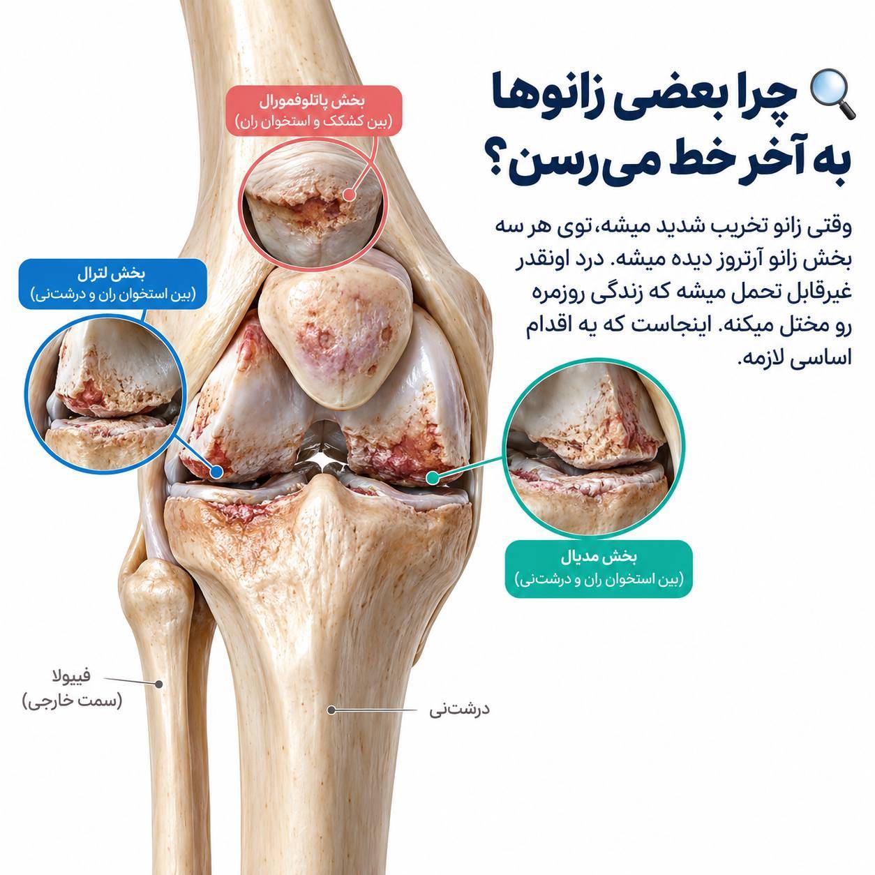 گالری مطب دکتر امیر برزنونی