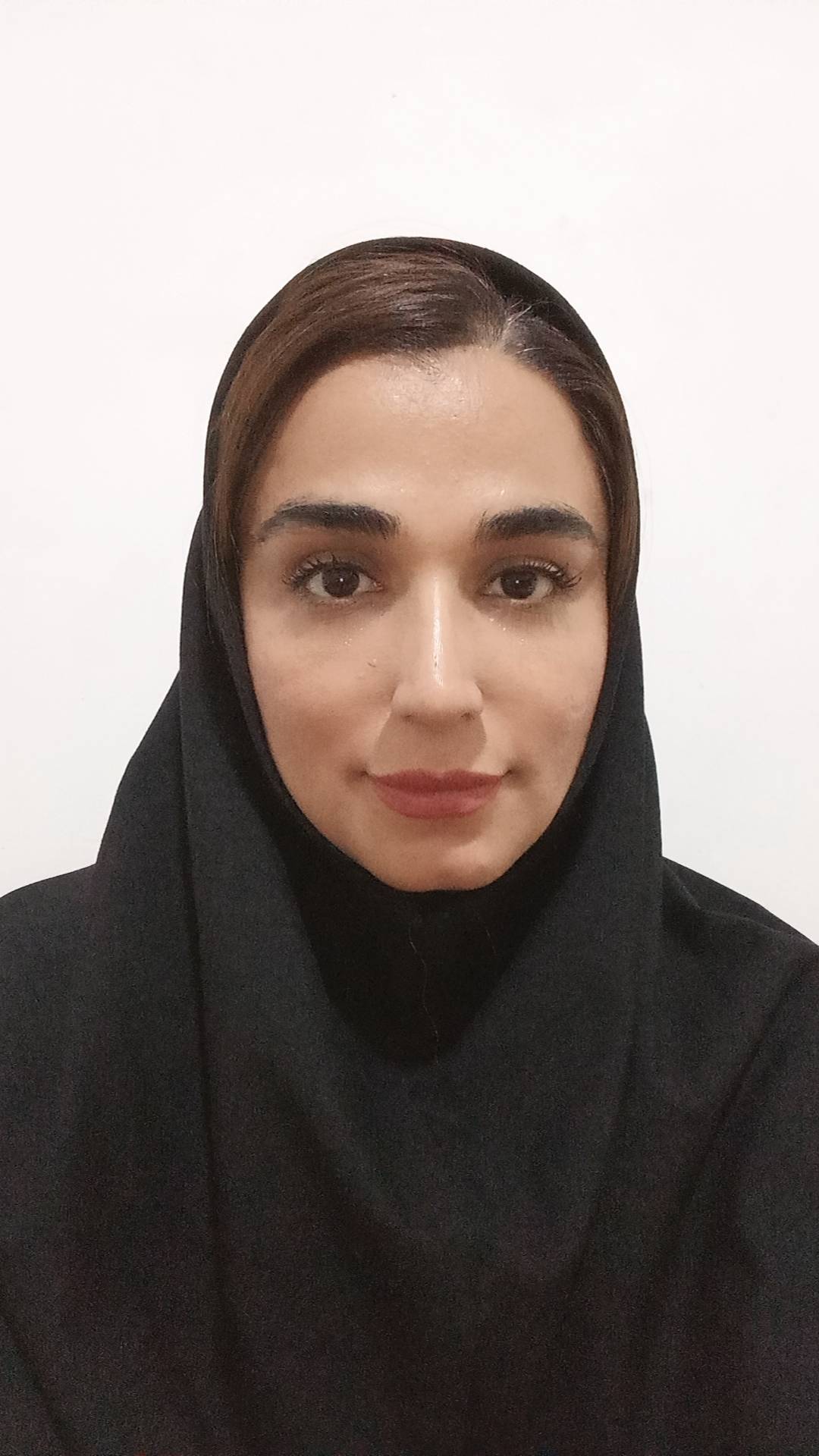 لوگو مشاور توسعه کسب و کار نیکی ورک
