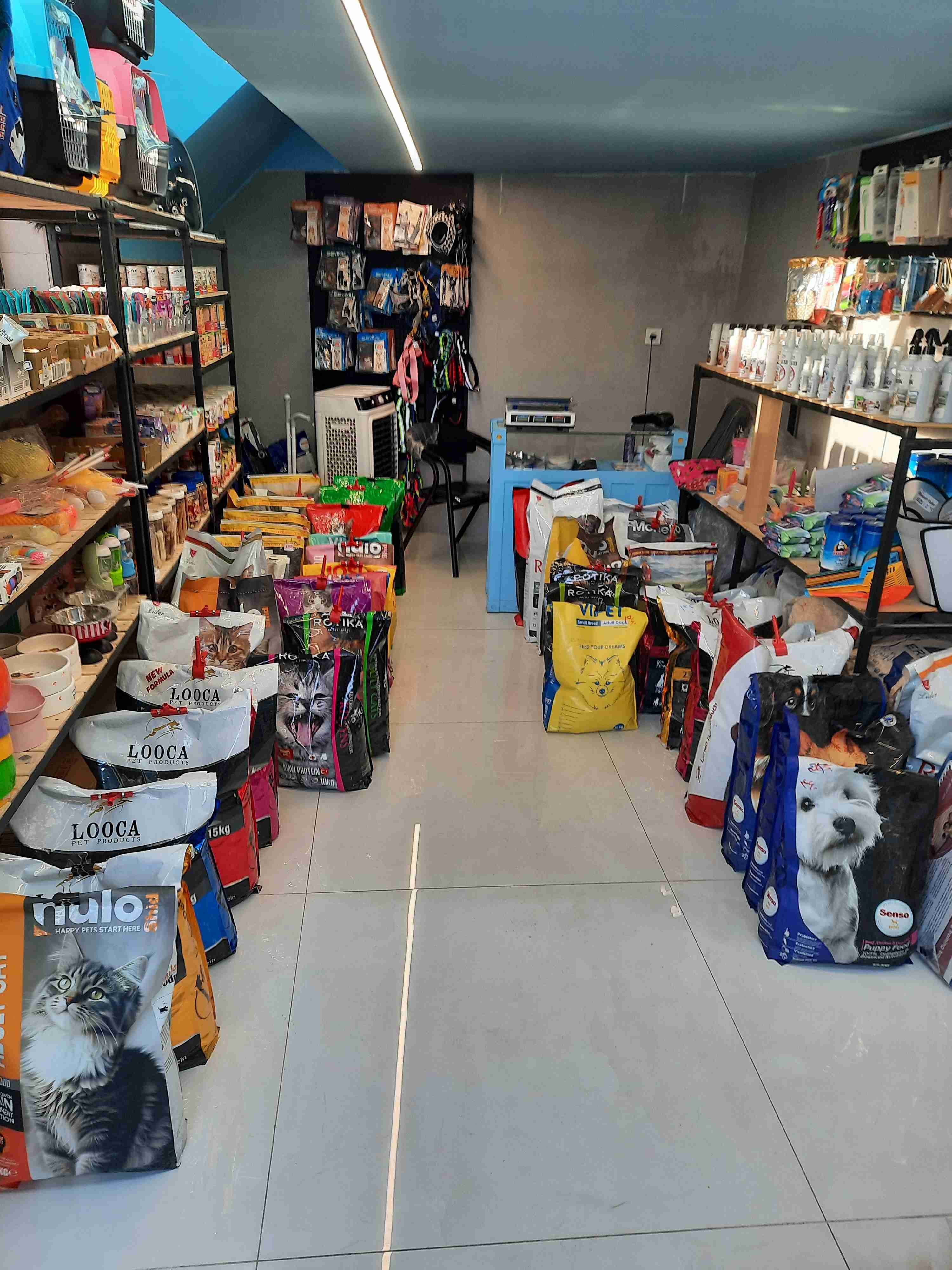 غذای خشک