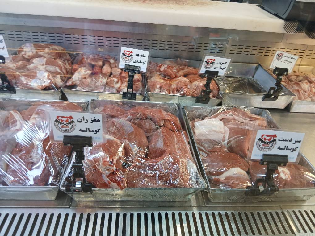 گالری مزرعه پروتئین امامت