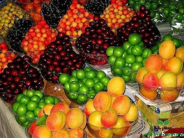 میوه های نوبرانه