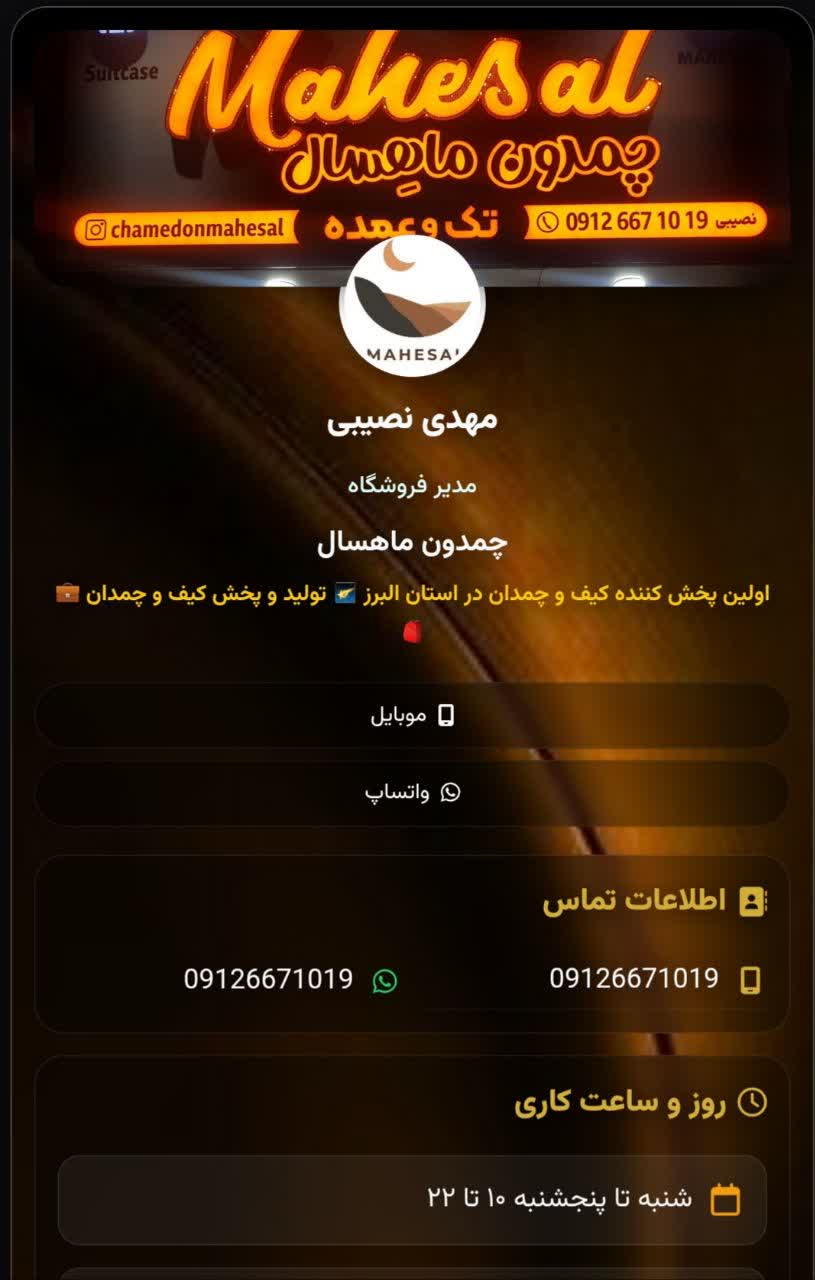 کیف و چمدان ماهسال