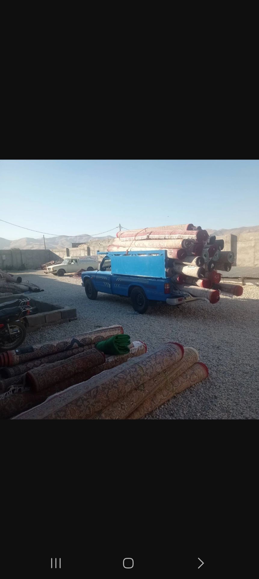 ودر آخر حمل قالی شما