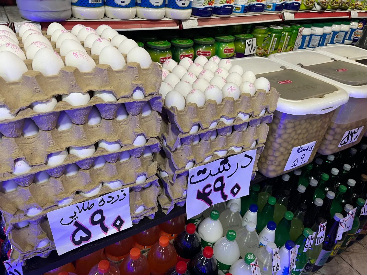 گالری سوپر پروتئین سجاد