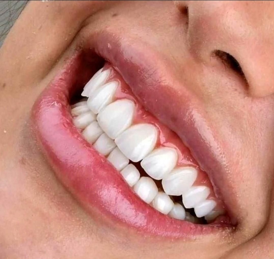 گالری دنتال شلبی