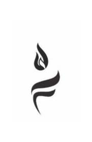 لوگو شومینه فایرلند /  بنی هاشم