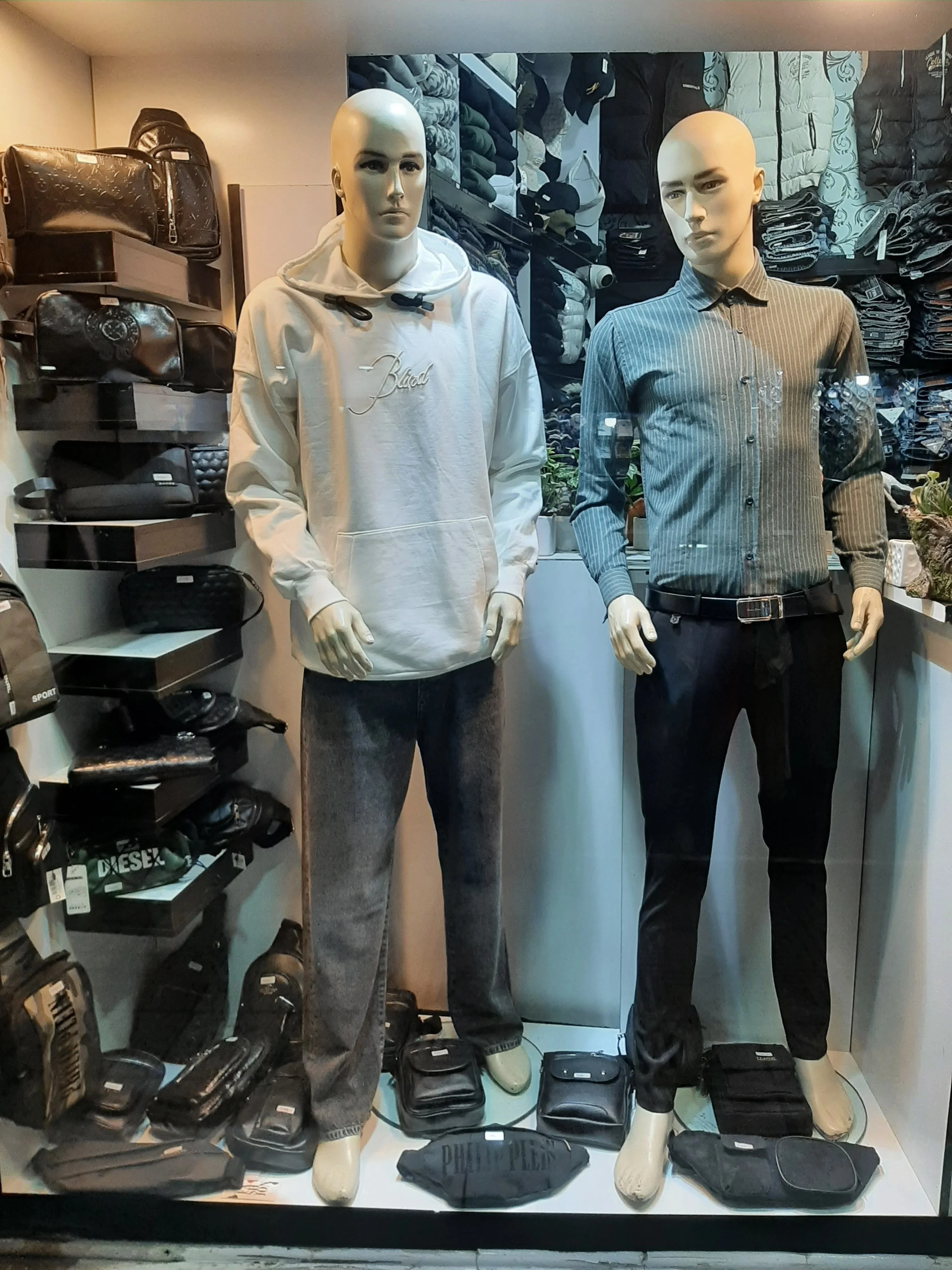 هودی و دورس