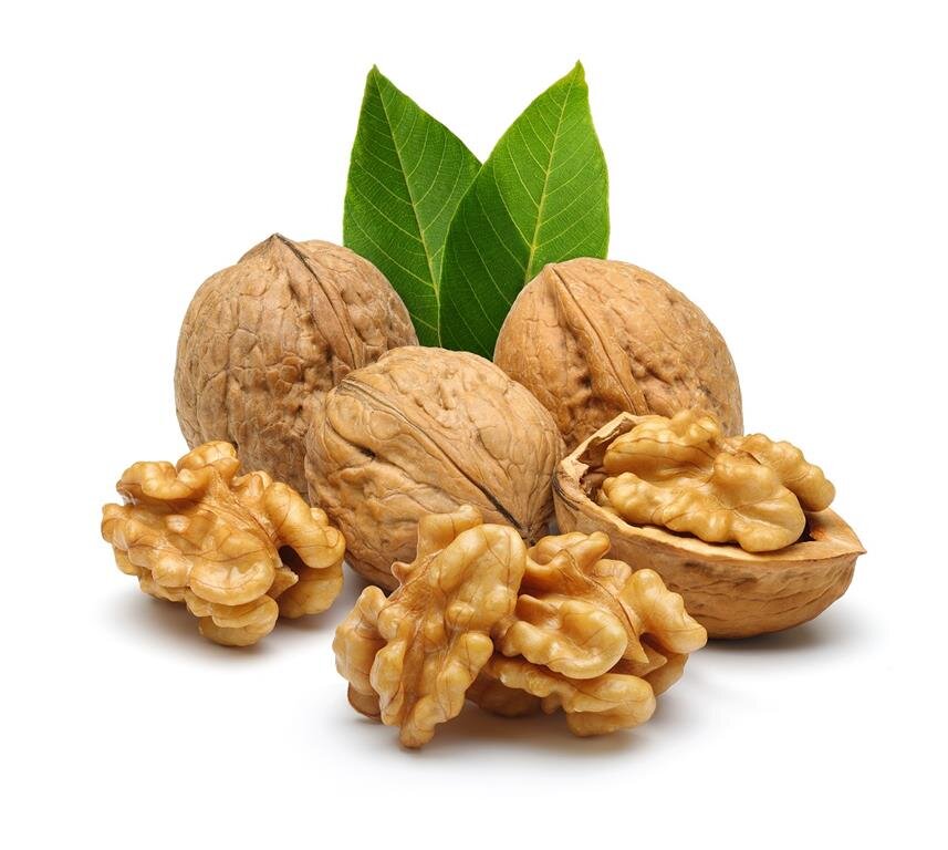 گردو محلی
