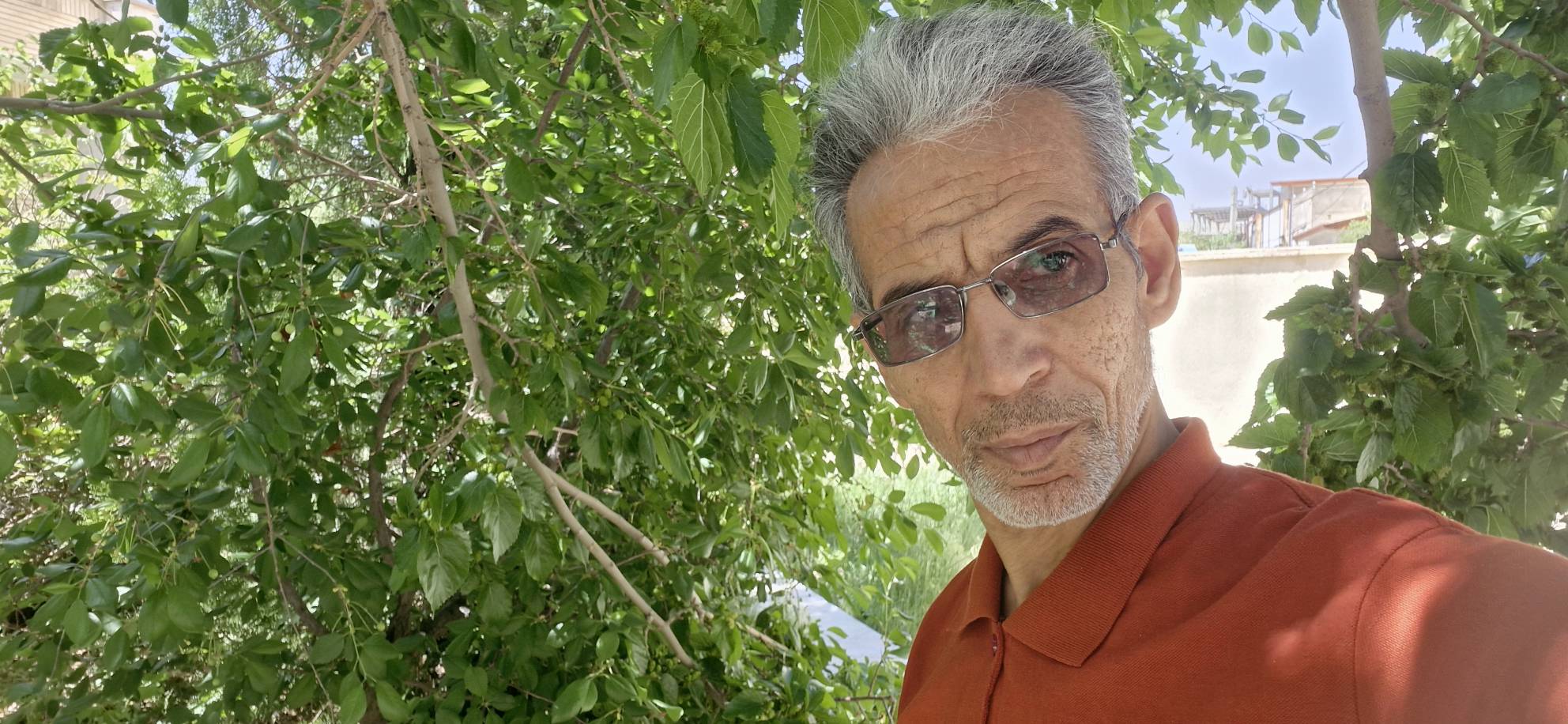 حسن شیخ محمدی